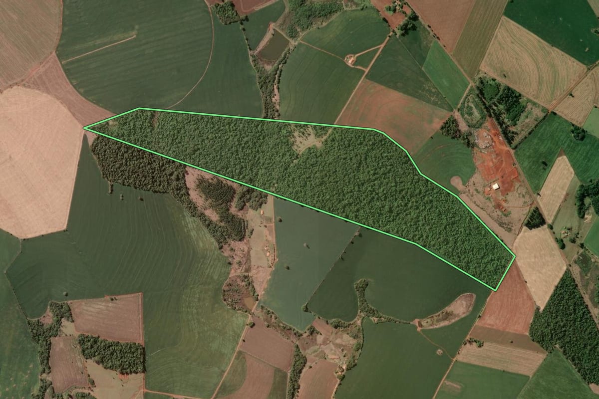 Imagem de satélite do imóvel rural em Taquarituba (SP), com o contorno declarado no CAR desenhado por cima.
