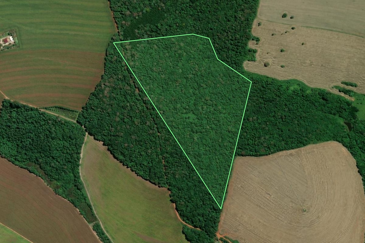 Imagem de satélite do imóvel rural em Taquarivaí (SP), com o contorno declarado no CAR desenhado por cima.