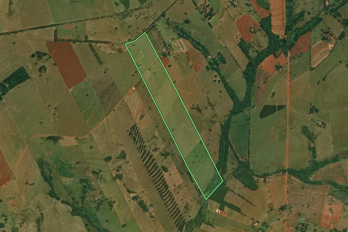 Imagem de satélite do imóvel rural em Tarabai (SP), com o contorno declarado no CAR desenhado por cima.