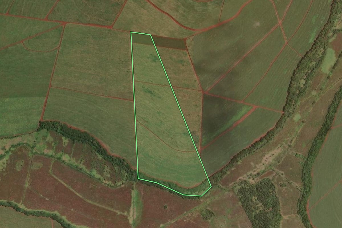 Imagem de satélite do imóvel rural em Tarumã (SP), com o contorno declarado no CAR desenhado por cima.