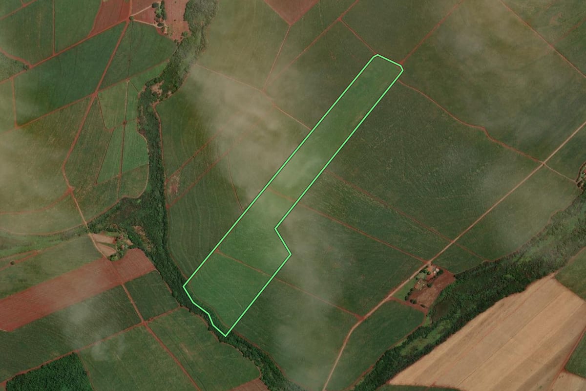 Imagem de satélite do imóvel rural em Tarumã (SP), com o contorno declarado no CAR desenhado por cima.