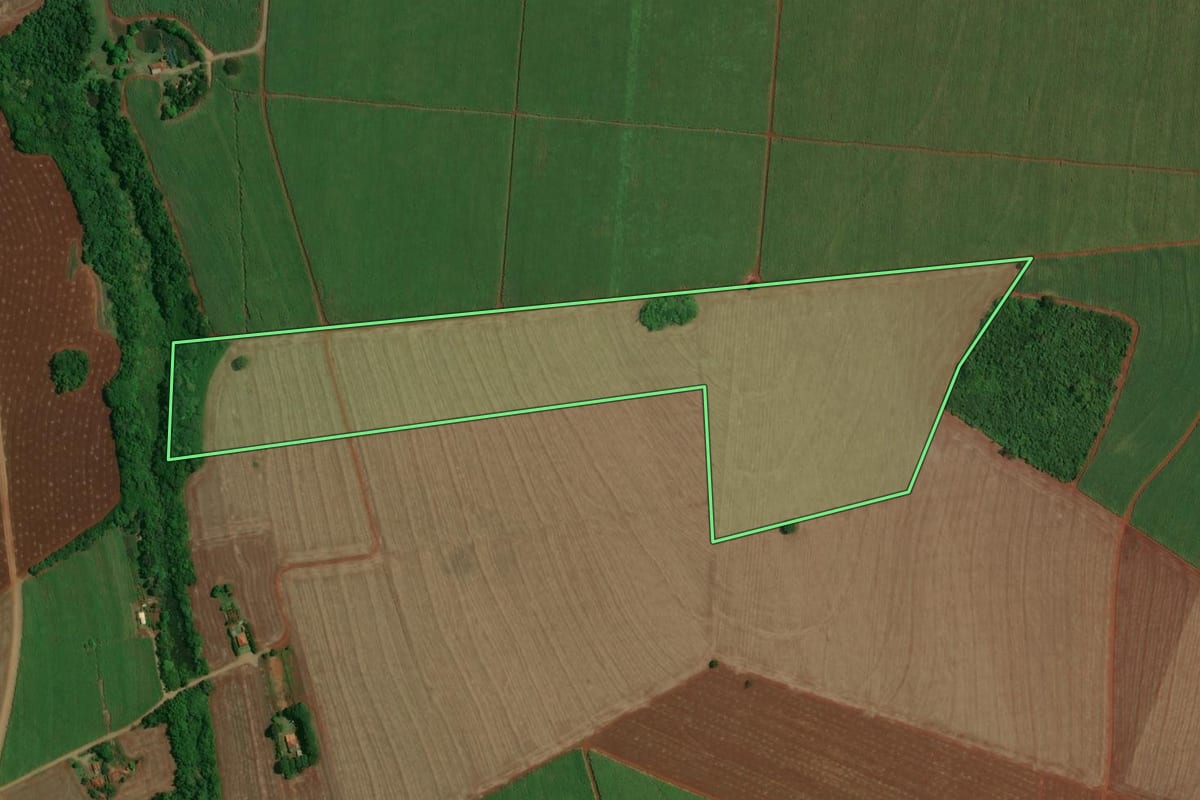Imagem de satélite do imóvel rural em Tarumã (SP), com o contorno declarado no CAR desenhado por cima.