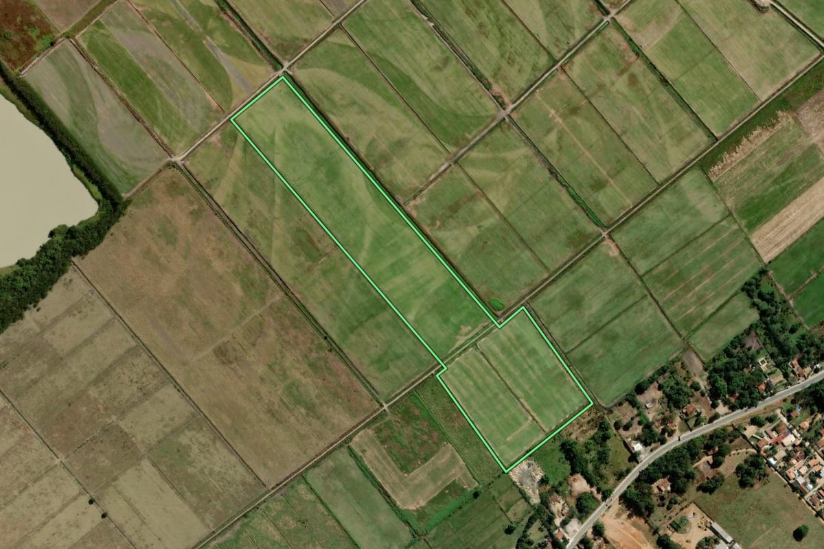 Imagem de satélite do imóvel rural em Taubaté (SP), com o contorno declarado no CAR desenhado por cima.