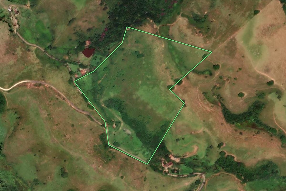 Imagem de satélite do imóvel rural em Taubaté (SP), com o contorno declarado no CAR desenhado por cima.