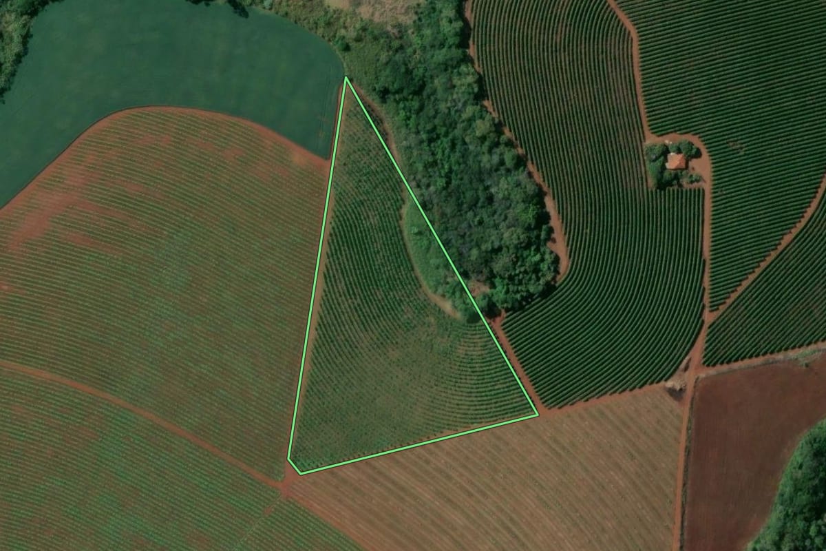 Imagem de satélite do imóvel rural em Tejupá (SP), com o contorno declarado no CAR desenhado por cima.