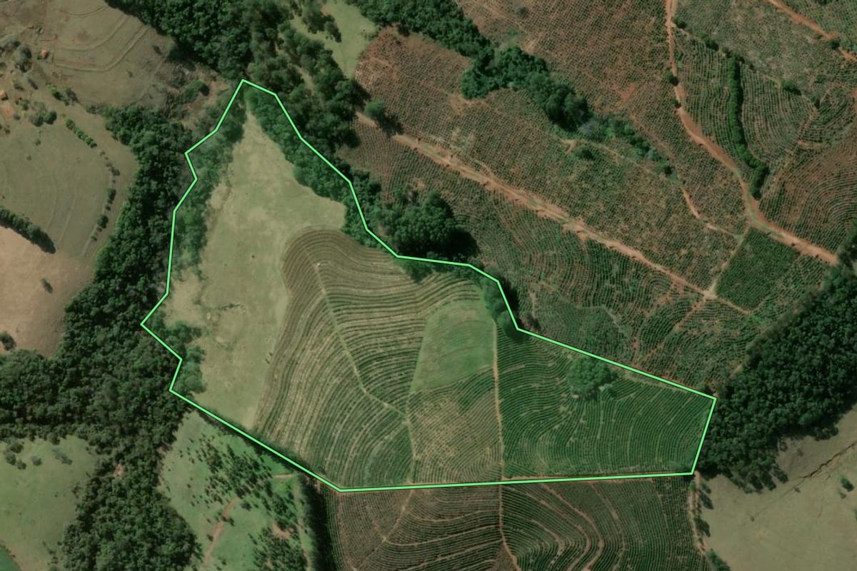 Imagem de satélite do imóvel rural em Tejupá (SP), com o contorno declarado no CAR desenhado por cima.