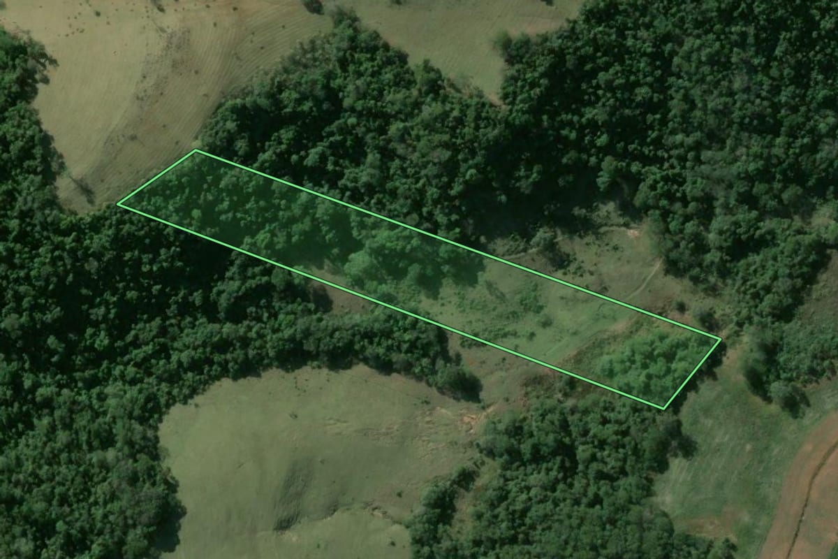 Imagem de satélite do imóvel rural em Tejupá (SP), com o contorno declarado no CAR desenhado por cima.