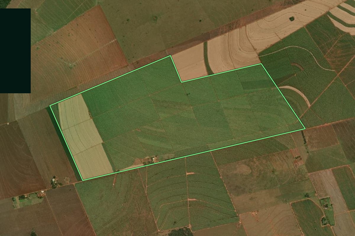 Imagem de satélite do imóvel rural em Teodoro Sampaio (SP), com o contorno declarado no CAR desenhado por cima.