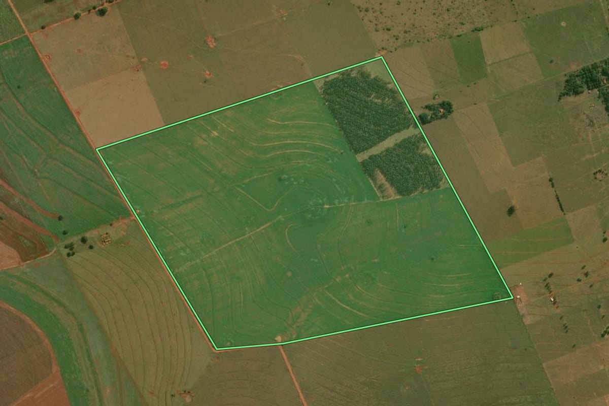 Imagem de satélite do imóvel rural em Teodoro Sampaio (SP), com o contorno declarado no CAR desenhado por cima.