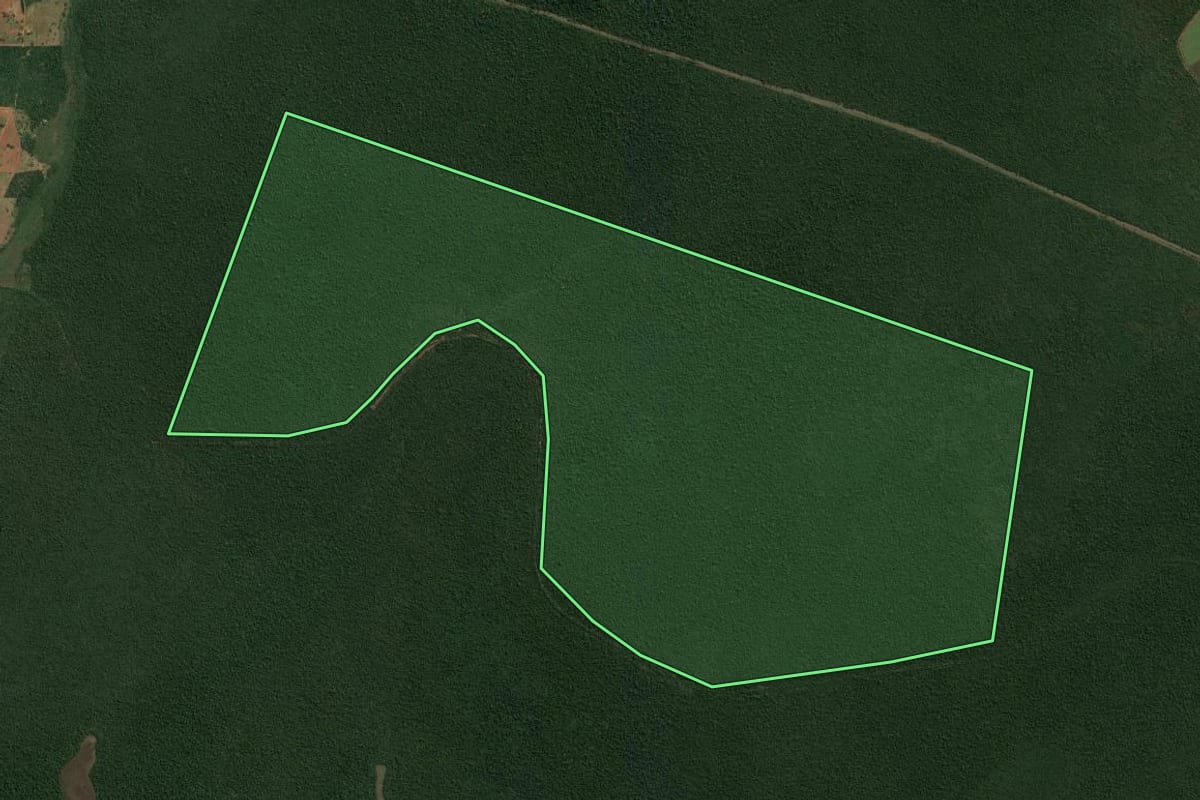Imagem de satélite do imóvel rural em Teodoro Sampaio (SP), com o contorno declarado no CAR desenhado por cima.