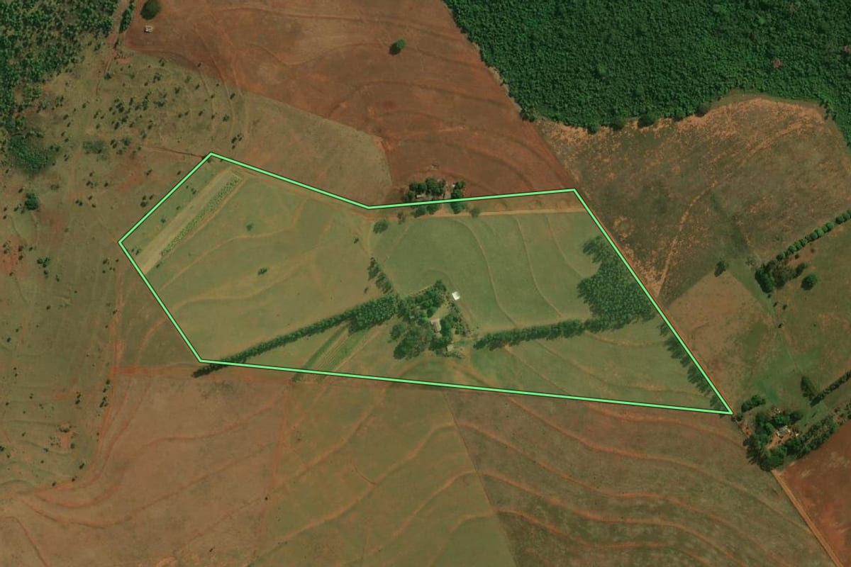 Imagem de satélite do imóvel rural em Teodoro Sampaio (SP), com o contorno declarado no CAR desenhado por cima.