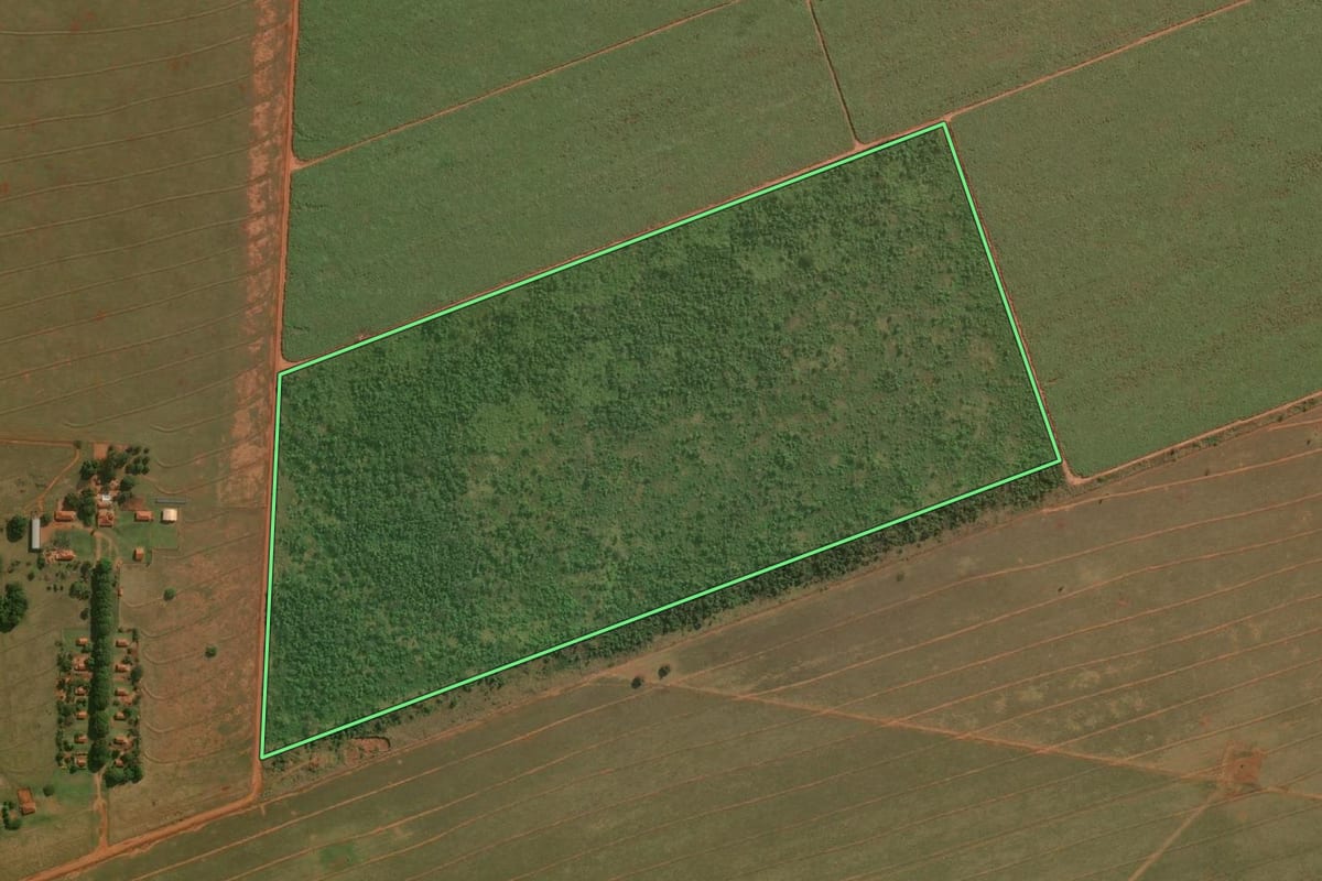 Imagem de satélite do imóvel rural em Teodoro Sampaio (SP), com o contorno declarado no CAR desenhado por cima.