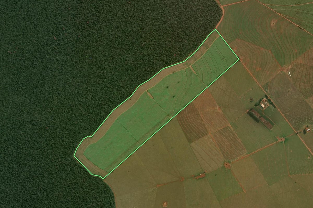 Imagem de satélite do imóvel rural em Teodoro Sampaio (SP), com o contorno declarado no CAR desenhado por cima.