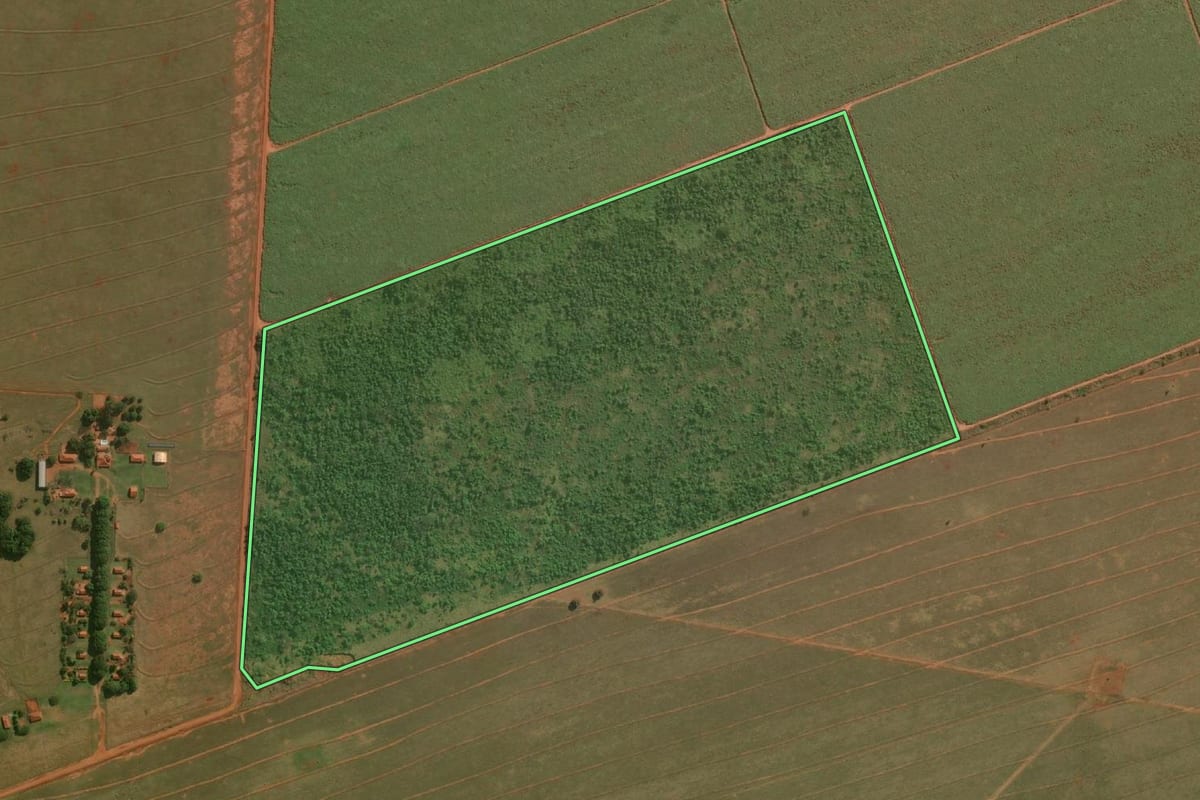 Imagem de satélite do imóvel rural em Teodoro Sampaio (SP), com o contorno declarado no CAR desenhado por cima.