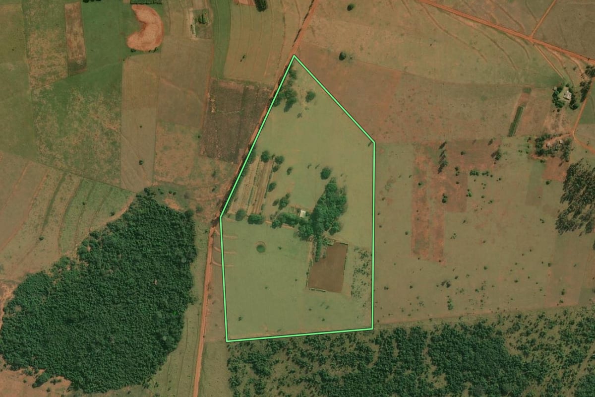 Imagem de satélite do imóvel rural em Teodoro Sampaio (SP), com o contorno declarado no CAR desenhado por cima.