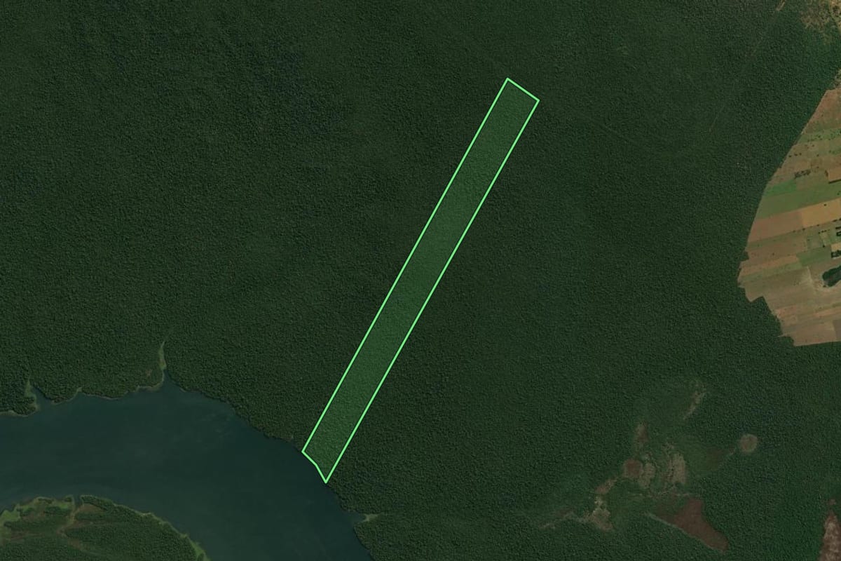 Imagem de satélite do imóvel rural em Teodoro Sampaio (SP), com o contorno declarado no CAR desenhado por cima.
