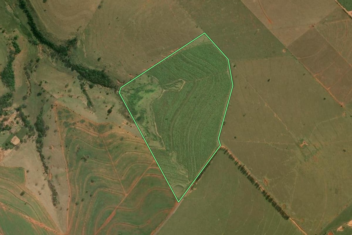 Imagem de satélite do imóvel rural em Teodoro Sampaio (SP), com o contorno declarado no CAR desenhado por cima.