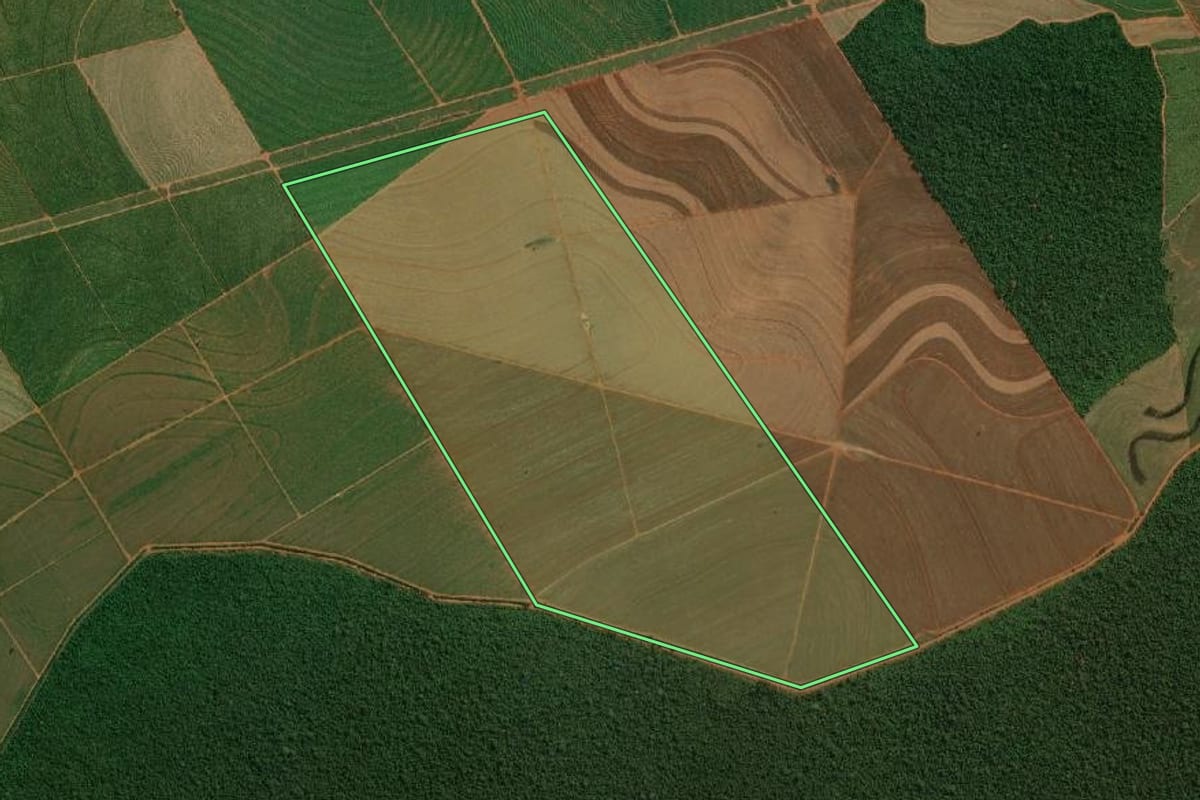 Imagem de satélite do imóvel rural em Teodoro Sampaio (SP), com o contorno declarado no CAR desenhado por cima.