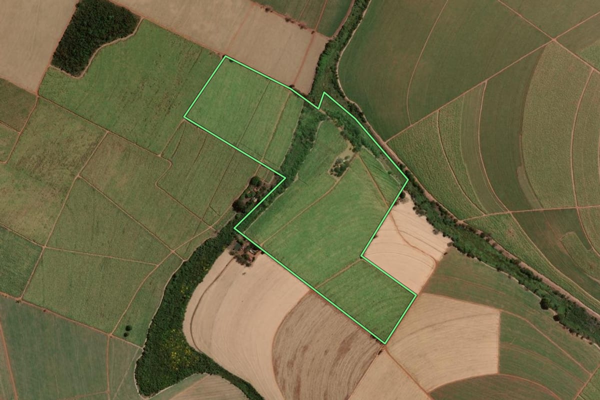 Imagem de satélite do imóvel rural em Terra Roxa (SP), com o contorno declarado no CAR desenhado por cima.