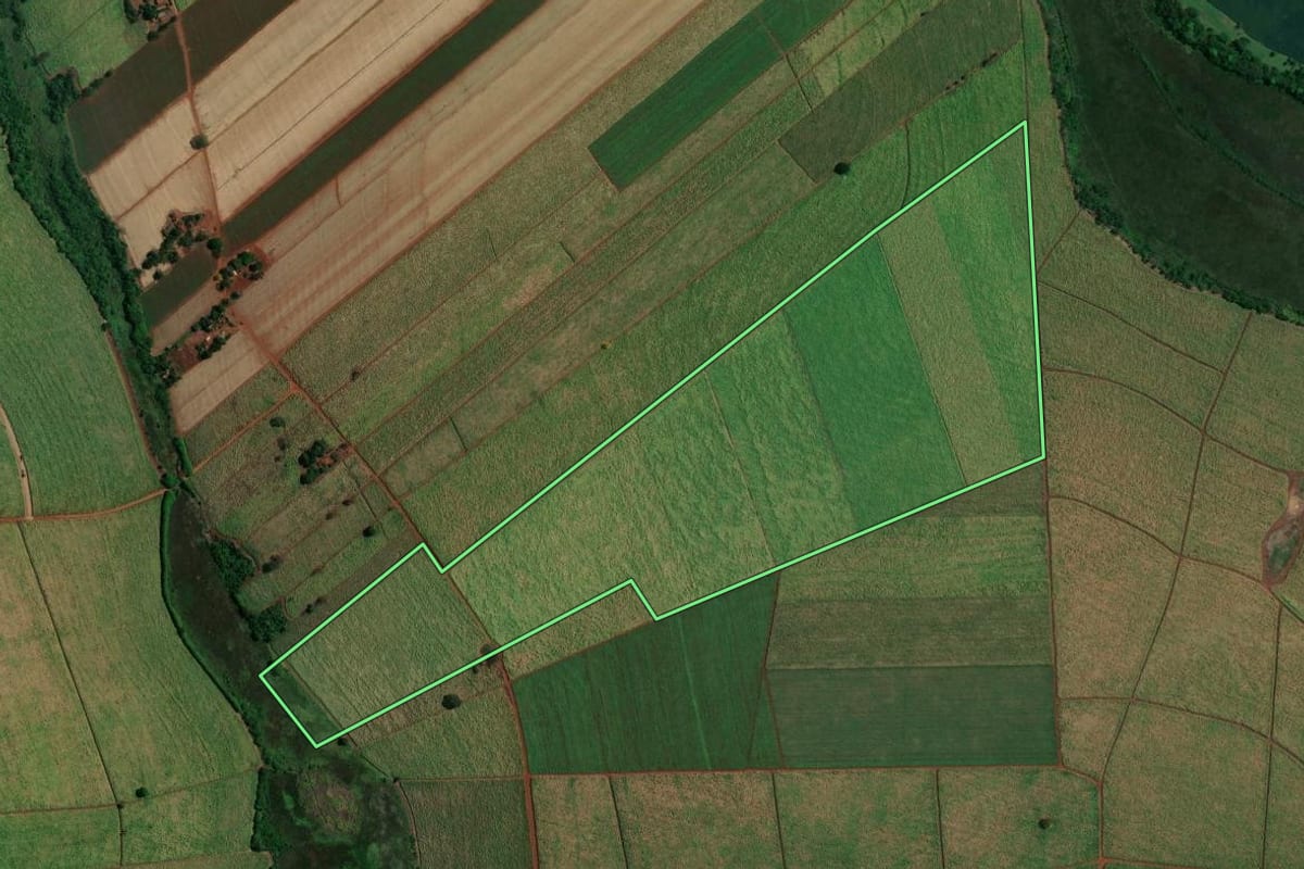 Imagem de satélite do imóvel rural em Terra Roxa (SP), com o contorno declarado no CAR desenhado por cima.