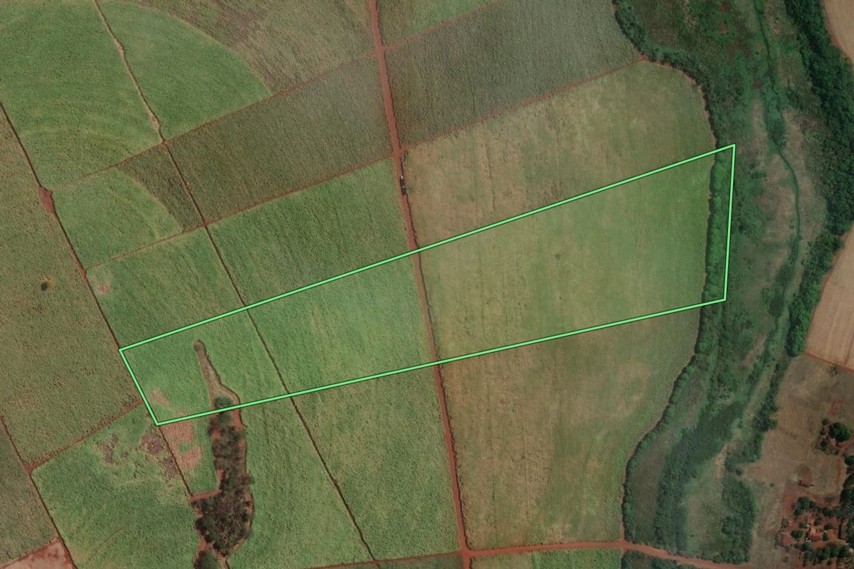Imagem de satélite do imóvel rural em Terra Roxa (SP), com o contorno declarado no CAR desenhado por cima.