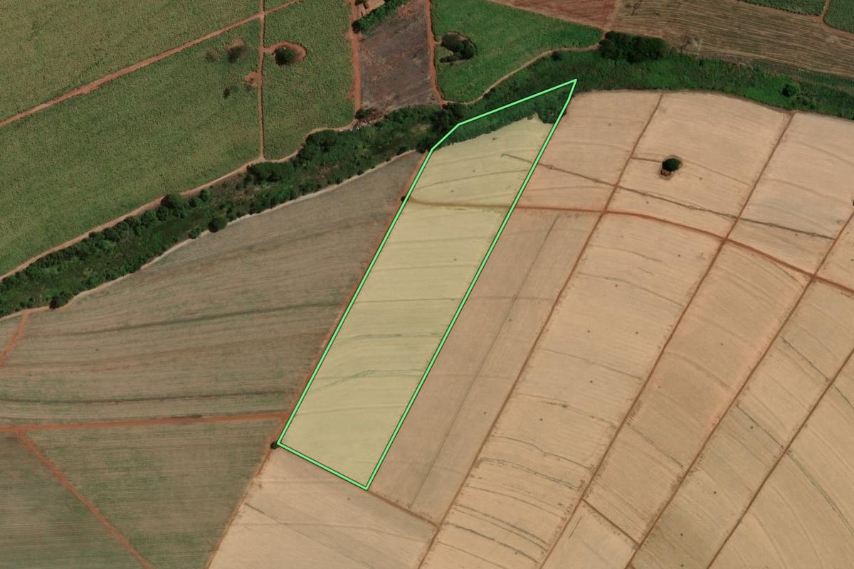 Imagem de satélite do imóvel rural em Terra Roxa (SP), com o contorno declarado no CAR desenhado por cima.