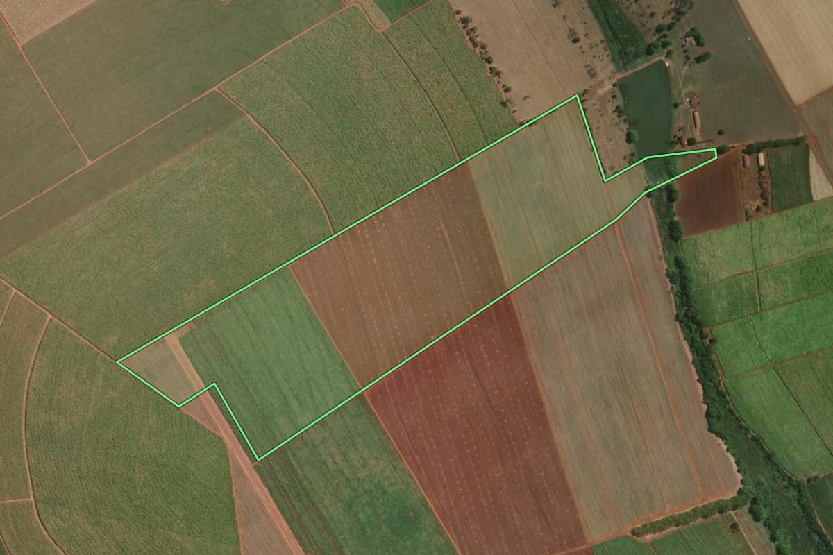 Imagem de satélite do imóvel rural em Terra Roxa (SP), com o contorno declarado no CAR desenhado por cima.