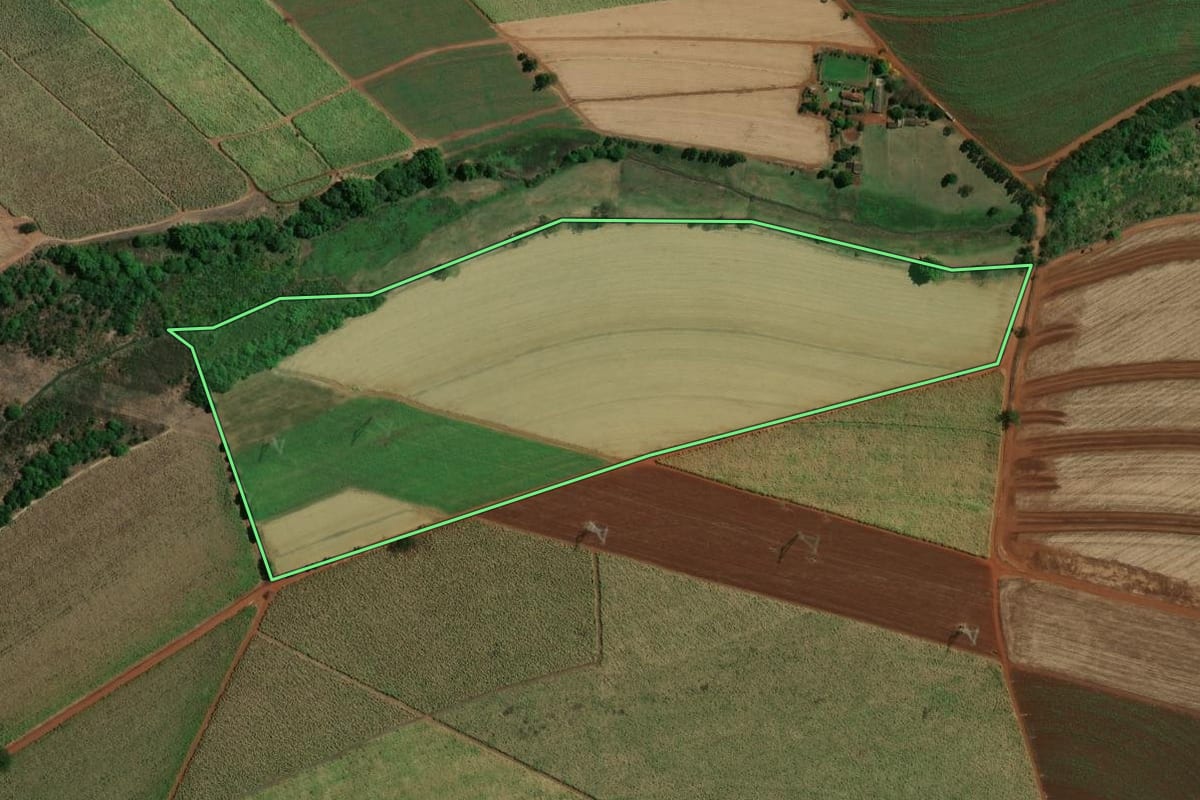 Imagem de satélite do imóvel rural em Terra Roxa (SP), com o contorno declarado no CAR desenhado por cima.