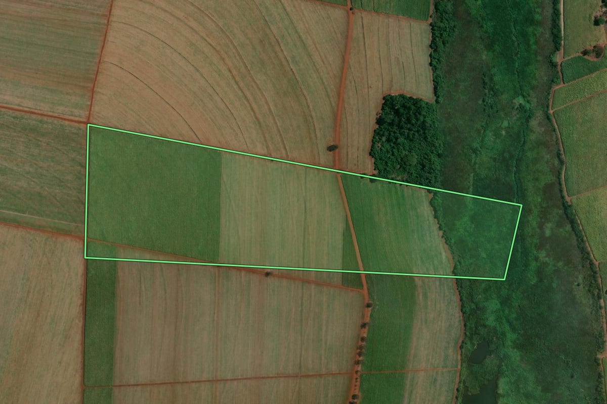 Imagem de satélite do imóvel rural em Terra Roxa (SP), com o contorno declarado no CAR desenhado por cima.