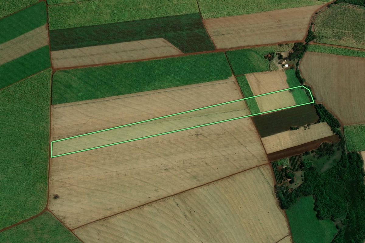 Imagem de satélite do imóvel rural em Terra Roxa (SP), com o contorno declarado no CAR desenhado por cima.