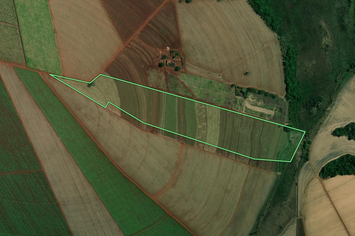 Imagem de satélite do imóvel rural em Terra Roxa (SP), com o contorno declarado no CAR desenhado por cima.
