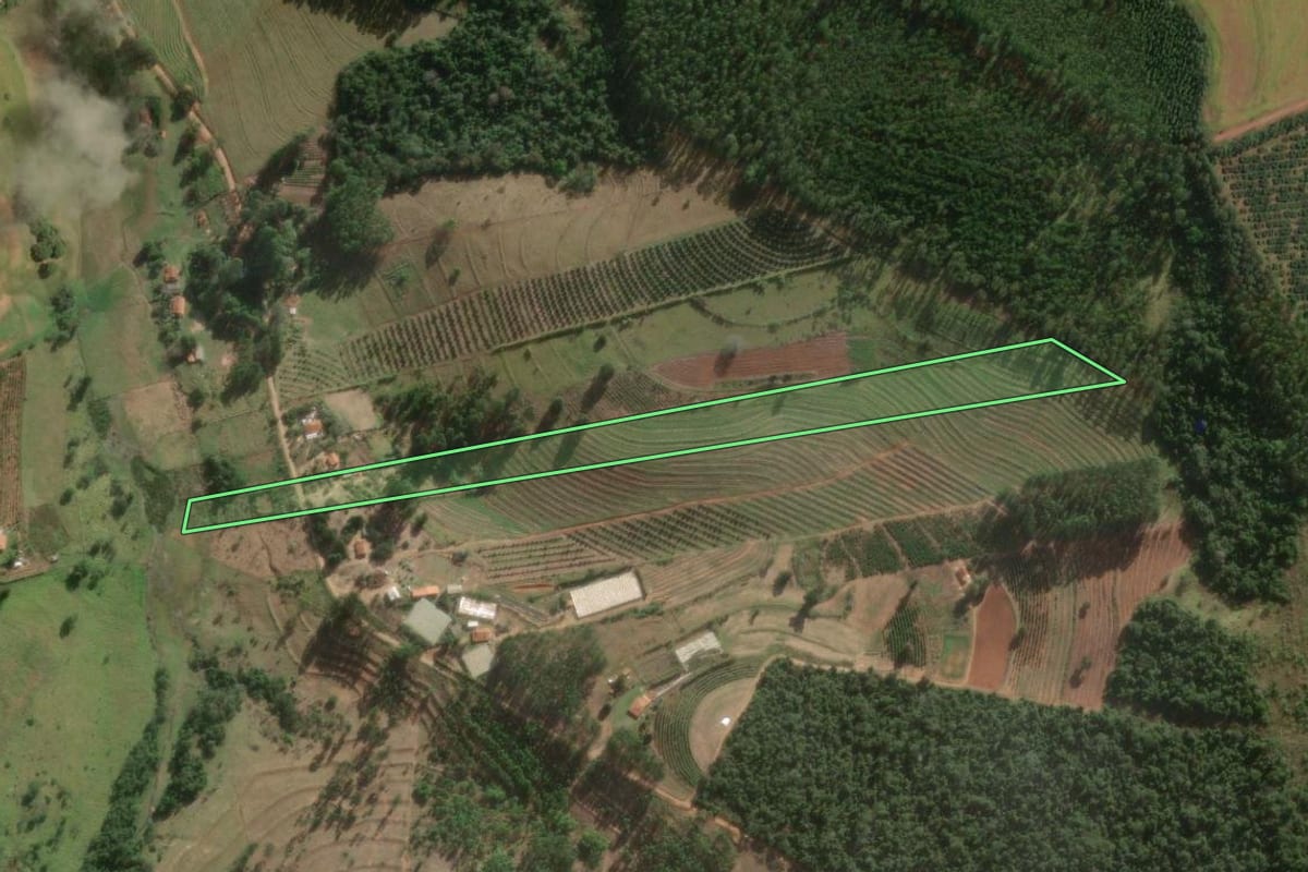 Imagem de satélite do imóvel rural em Timburi (SP), com o contorno declarado no CAR desenhado por cima.