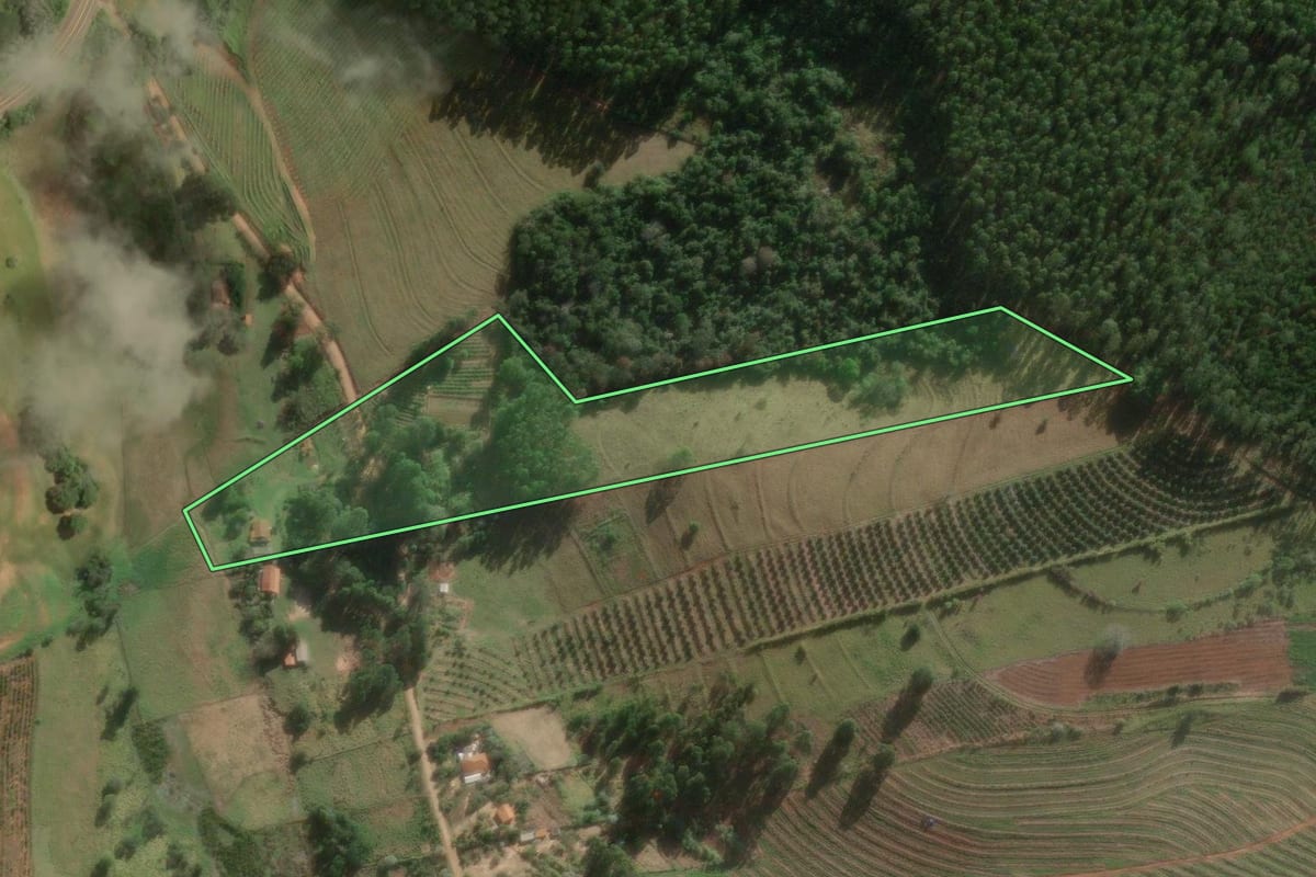 Imagem de satélite do imóvel rural em Timburi (SP), com o contorno declarado no CAR desenhado por cima.