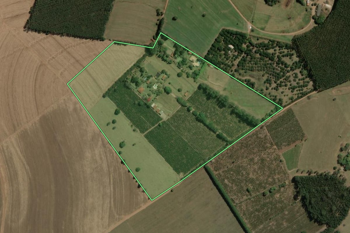 Imagem de satélite do imóvel rural em Torrinha (SP), com o contorno declarado no CAR desenhado por cima.