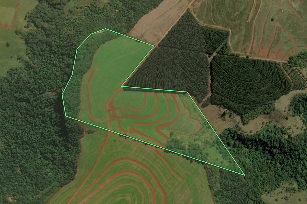 Imagem de satélite do imóvel rural em Torrinha (SP), com o contorno declarado no CAR desenhado por cima.