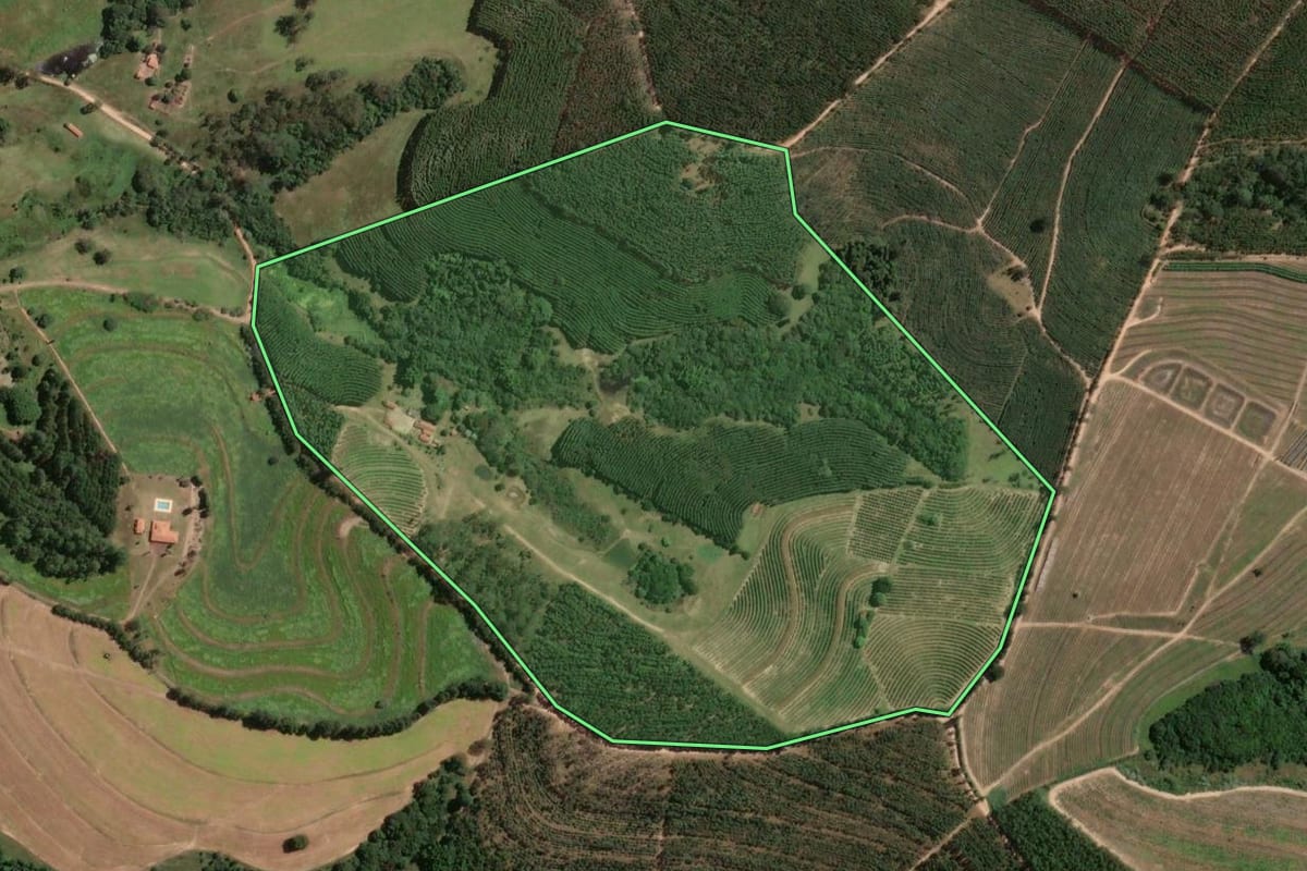 Imagem de satélite do imóvel rural em Torrinha (SP), com o contorno declarado no CAR desenhado por cima.