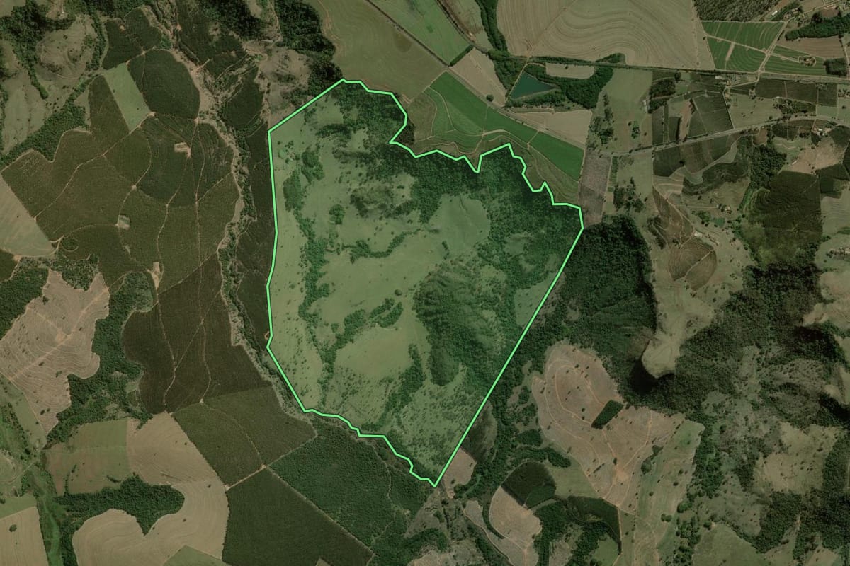 Imagem de satélite do imóvel rural em Torrinha (SP), com o contorno declarado no CAR desenhado por cima.