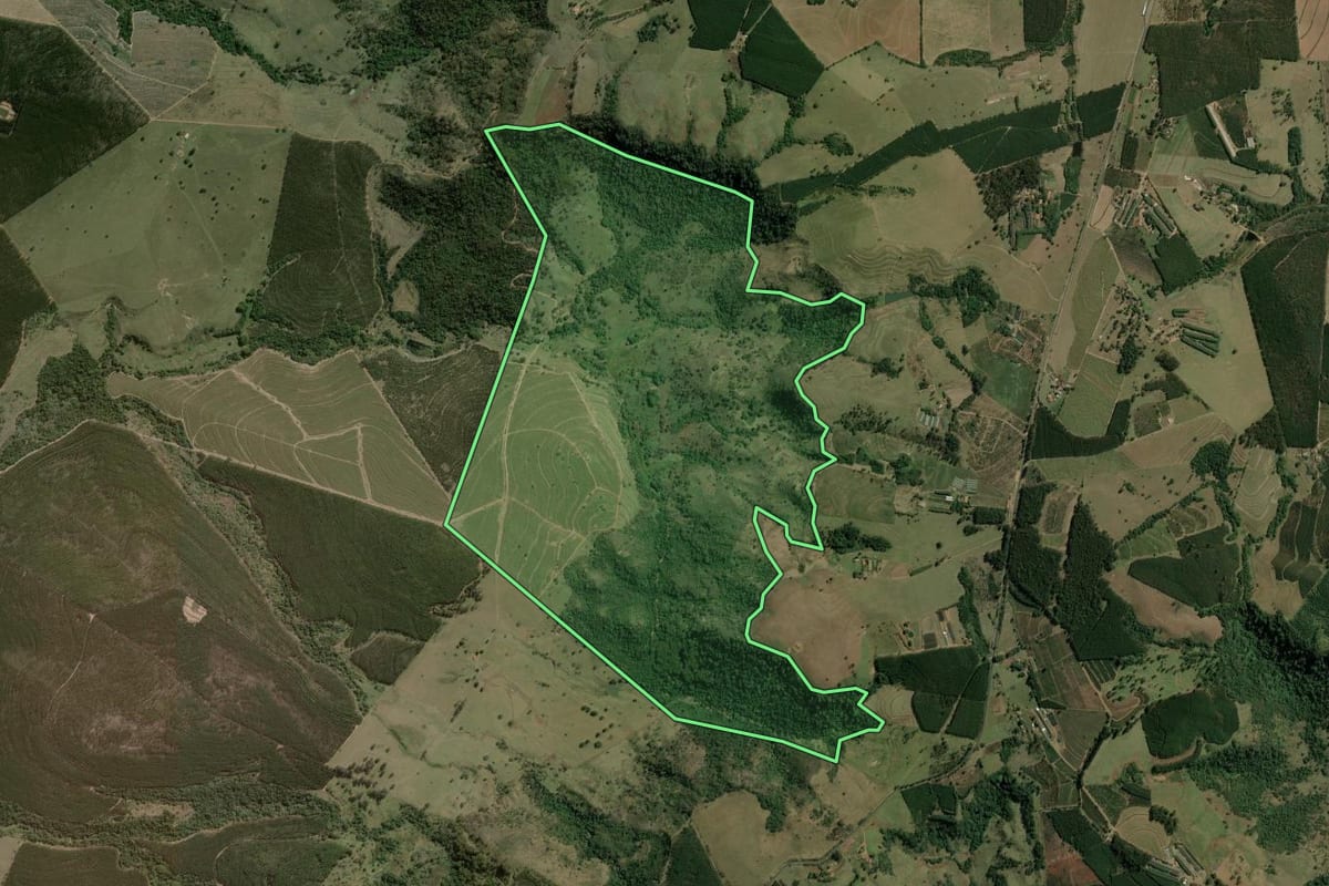 Imagem de satélite do imóvel rural em Torrinha (SP), com o contorno declarado no CAR desenhado por cima.