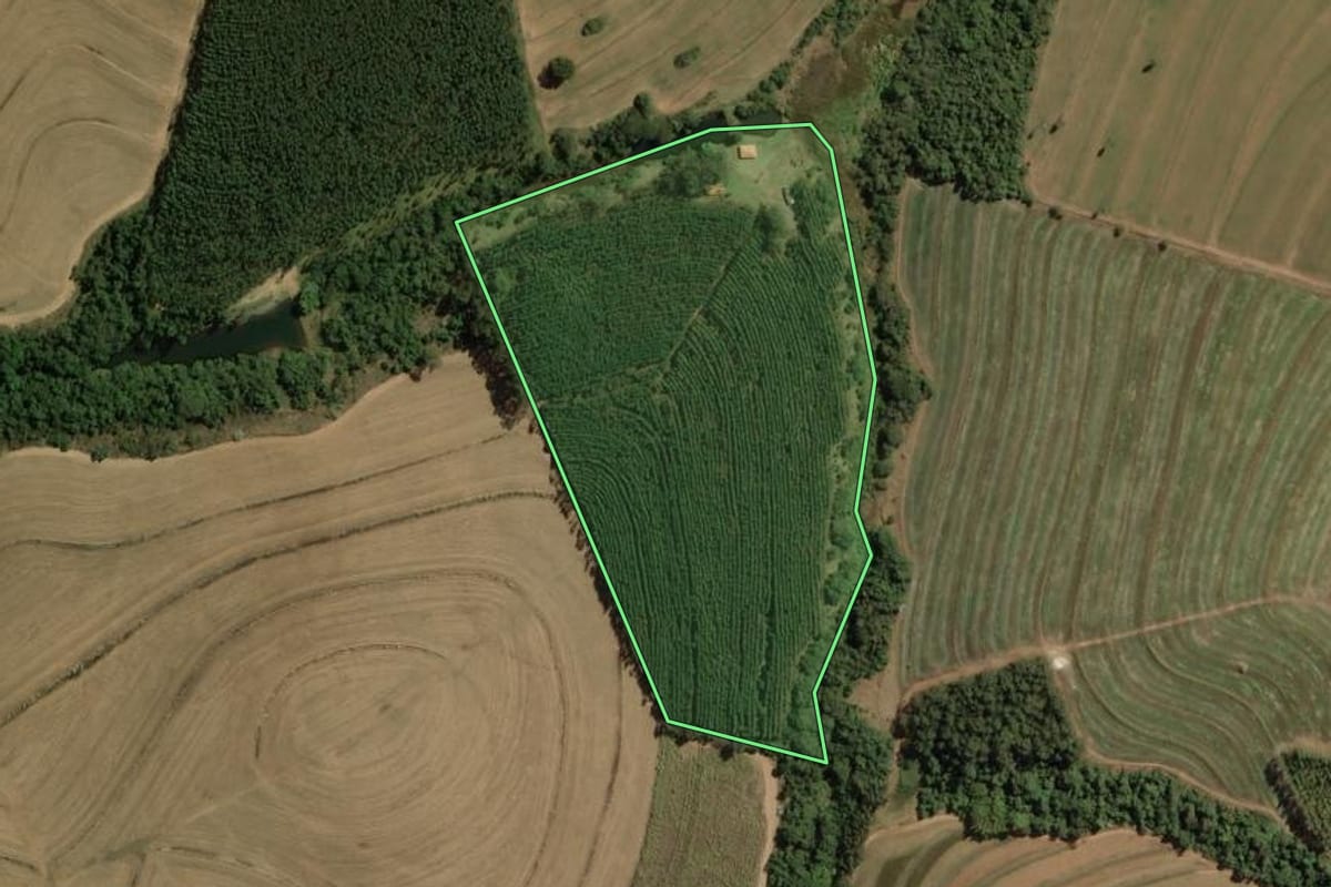Imagem de satélite do imóvel rural em Torrinha (SP), com o contorno declarado no CAR desenhado por cima.