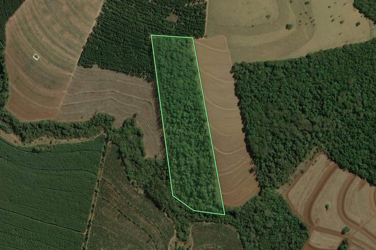 Imagem de satélite do imóvel rural em Torrinha (SP), com o contorno declarado no CAR desenhado por cima.