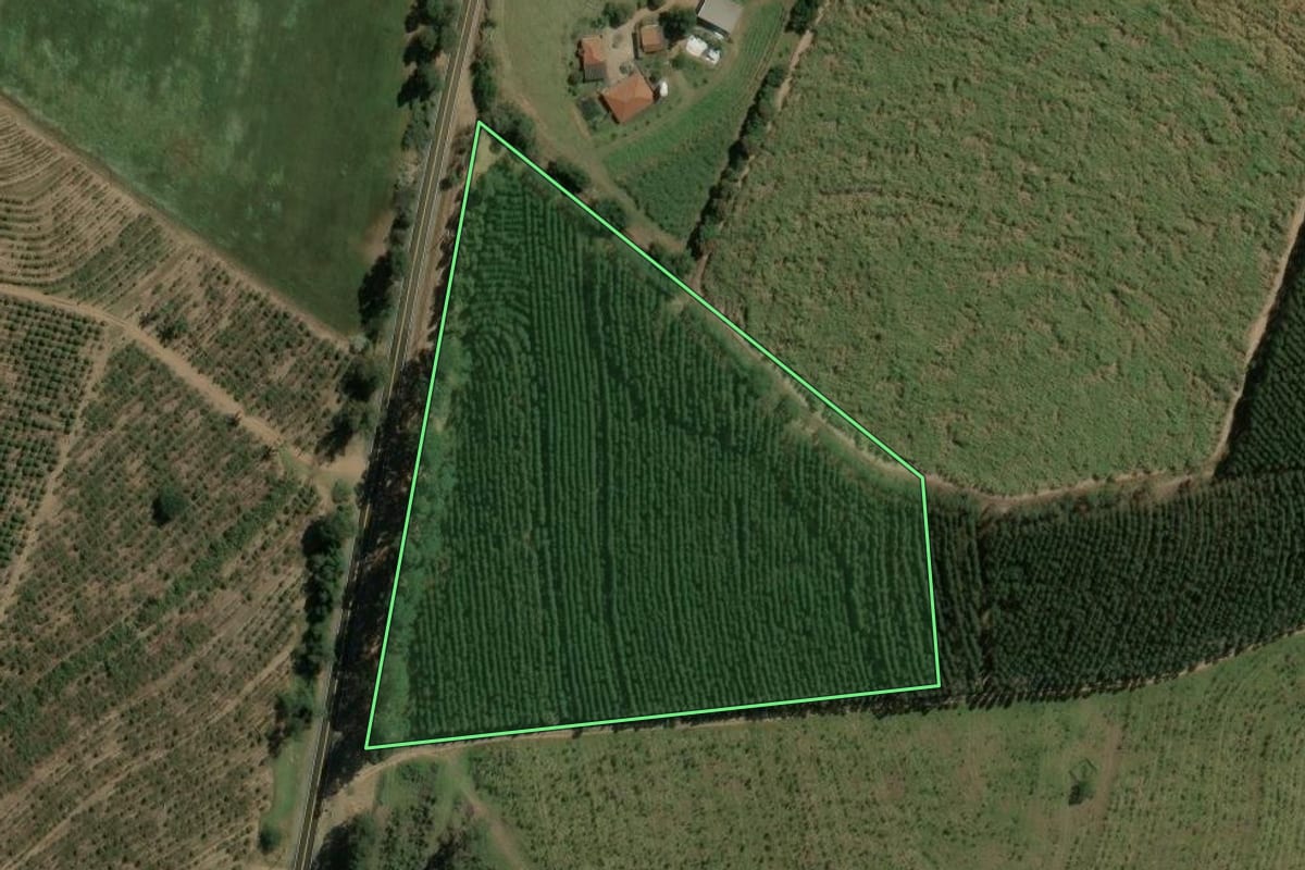 Imagem de satélite do imóvel rural em Torrinha (SP), com o contorno declarado no CAR desenhado por cima.