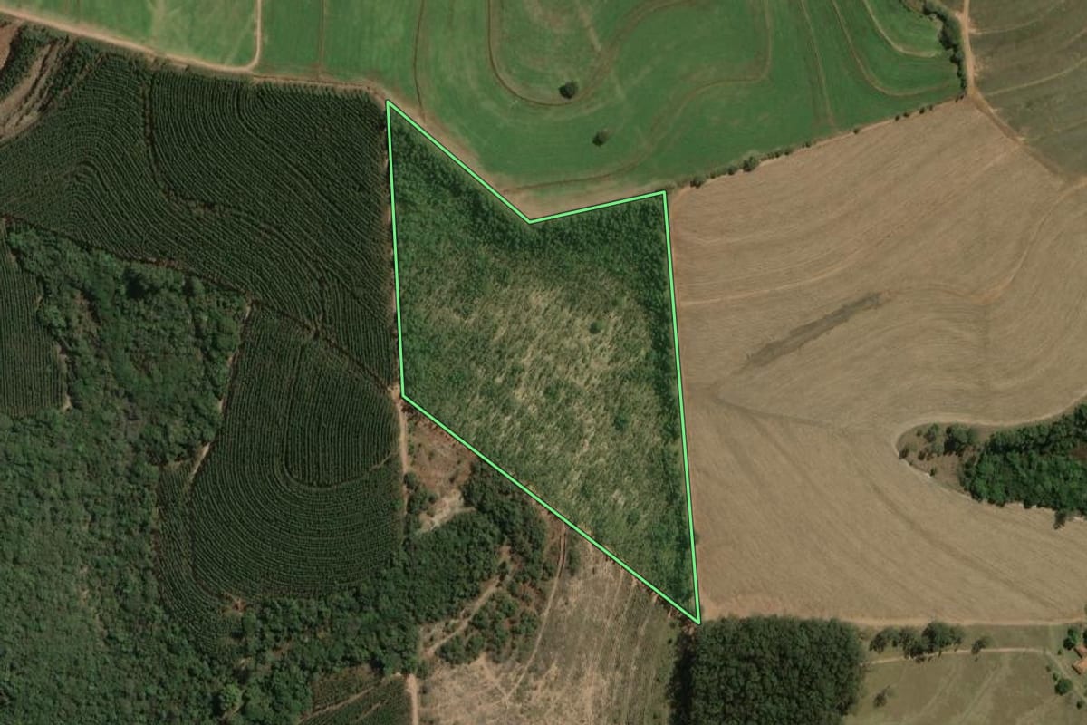 Imagem de satélite do imóvel rural em Torrinha (SP), com o contorno declarado no CAR desenhado por cima.