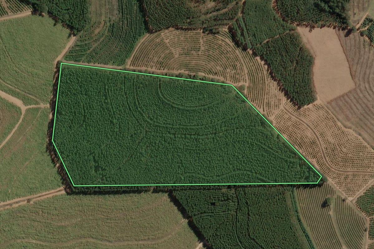 Imagem de satélite do imóvel rural em Torrinha (SP), com o contorno declarado no CAR desenhado por cima.