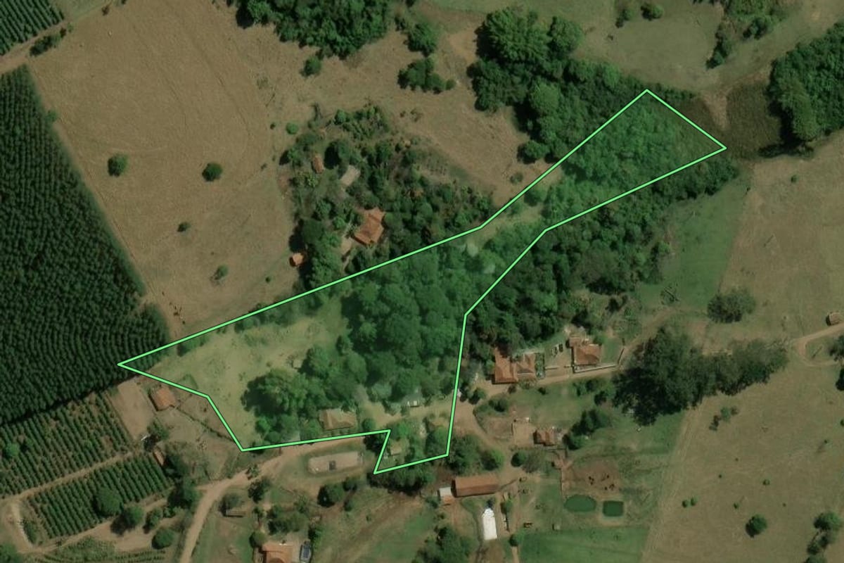 Imagem de satélite do imóvel rural em Torrinha (SP), com o contorno declarado no CAR desenhado por cima.