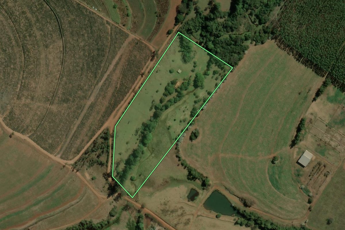 Imagem de satélite do imóvel rural em Torrinha (SP), com o contorno declarado no CAR desenhado por cima.
