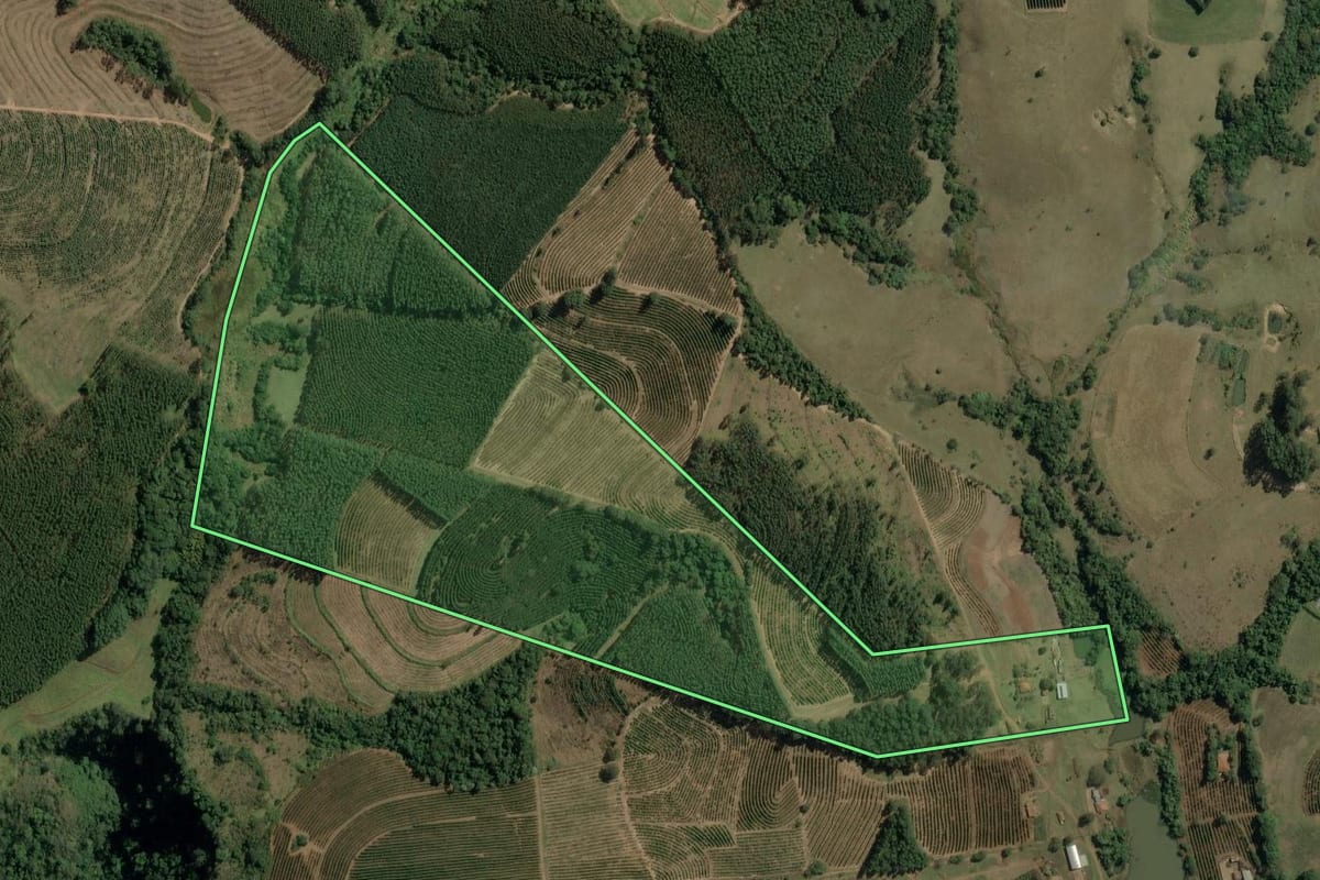 Imagem de satélite do imóvel rural em Torrinha (SP), com o contorno declarado no CAR desenhado por cima.