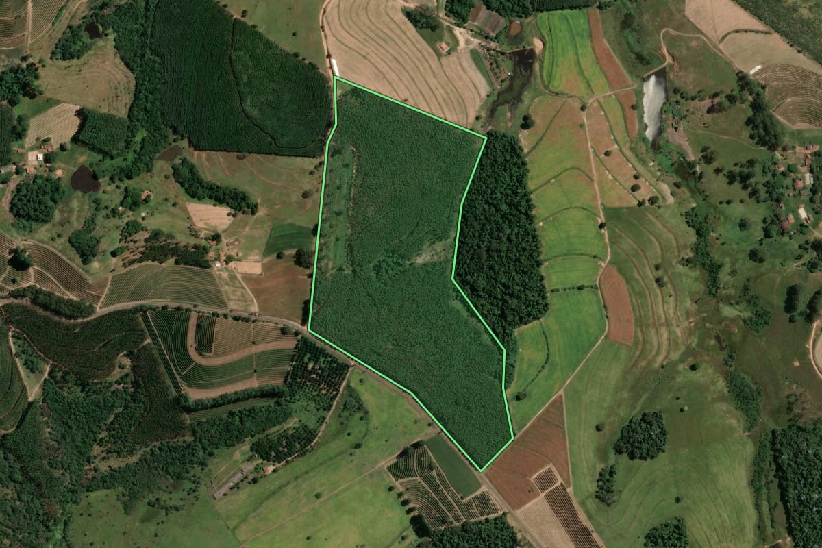 Imagem de satélite do imóvel rural em Torrinha (SP), com o contorno declarado no CAR desenhado por cima.