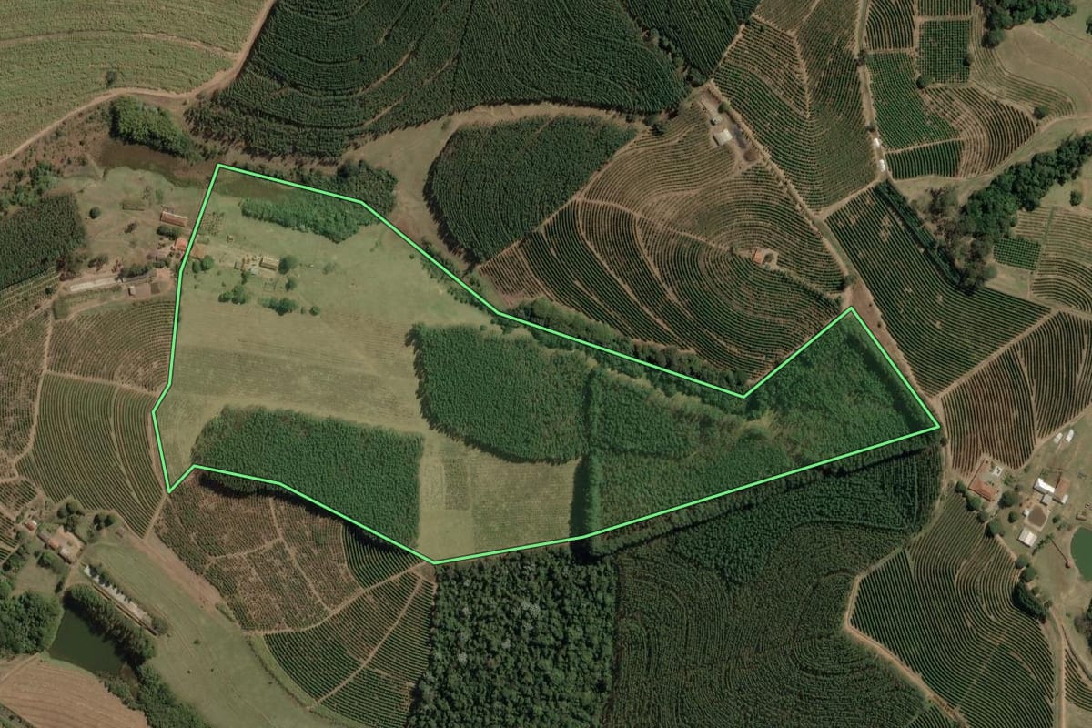 Imagem de satélite do imóvel rural em Torrinha (SP), com o contorno declarado no CAR desenhado por cima.