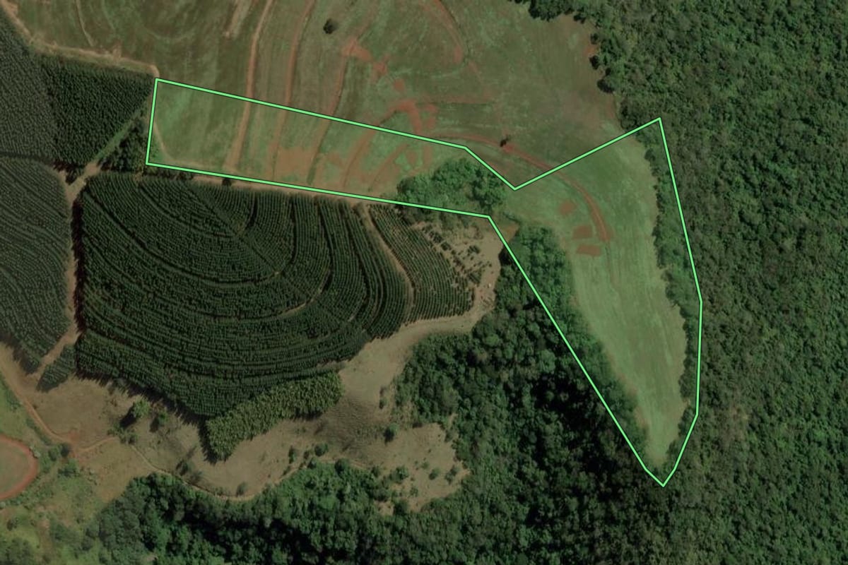 Imagem de satélite do imóvel rural em Torrinha (SP), com o contorno declarado no CAR desenhado por cima.