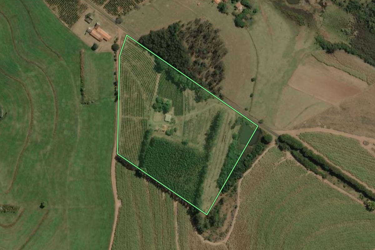 Imagem de satélite do imóvel rural em Torrinha (SP), com o contorno declarado no CAR desenhado por cima.